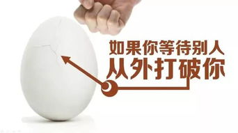 一顆不平凡的雞蛋 如何以微不足道之姿，撬動數億人的生活杠桿？